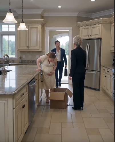 Full: SHE THOUGHT HER MOTHER-IN-LAW WANTED HER TO WORK—BUT THE HEAVY BOX WAS REALLY A TRAP TO TAKE HER BABY.